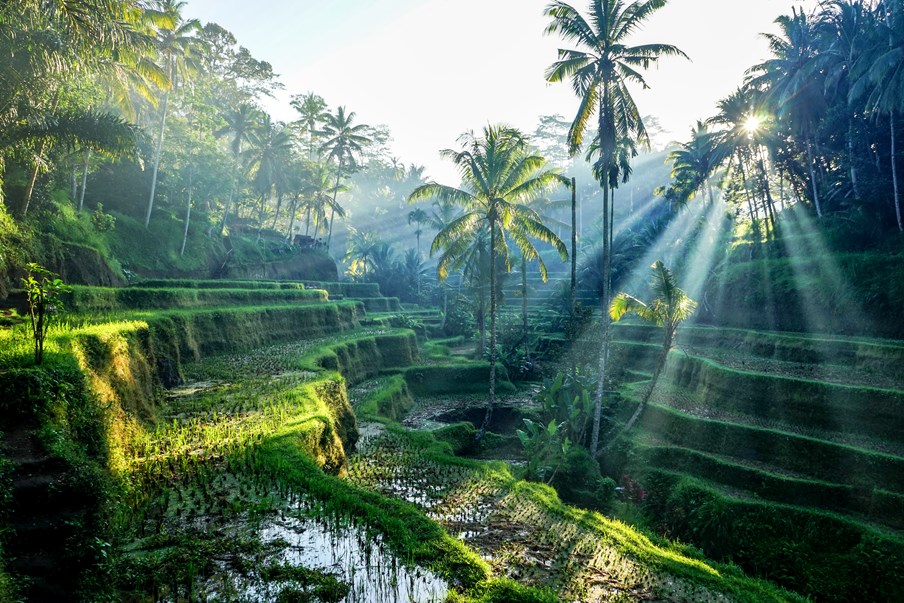 Bali, Indonesia 1