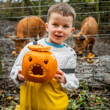 Arlo Cook (age 5) at the National Museum of Rural Life. Photo © Andy Catlin 2