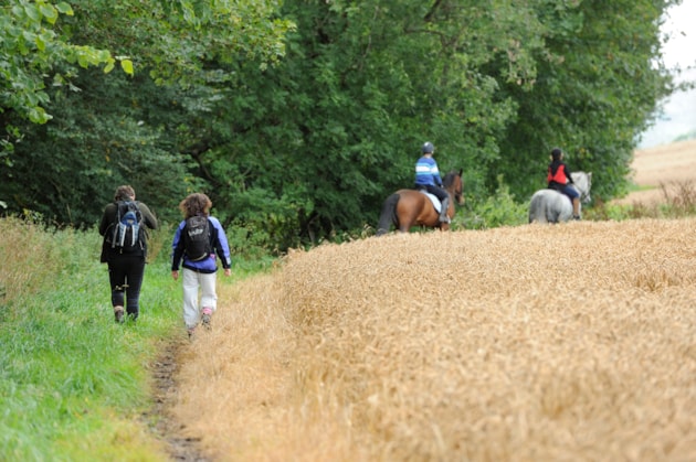 Walkers and horse riders responsibly accessing the countryside. Lorne Gill/NatureScot