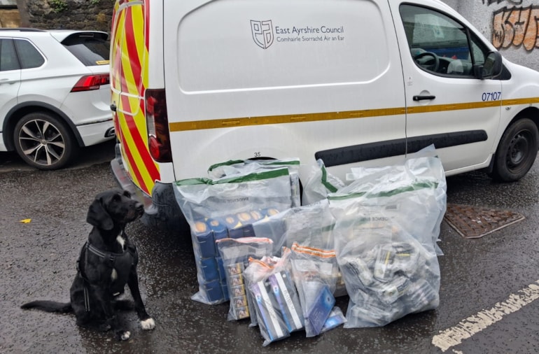 Boo the dog gives illegal tobacco traders a fright