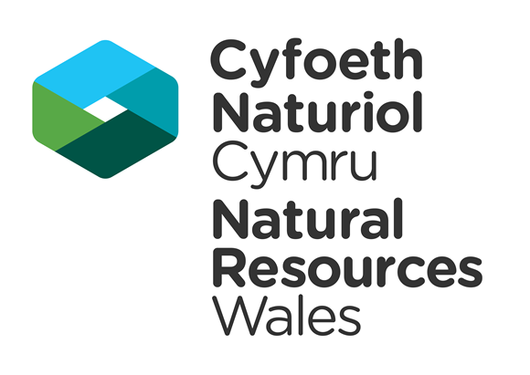 NRW share new guidance for changes to felling licences in Wales: NRW social media logos Umbraco