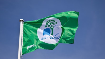Eco Schools flag