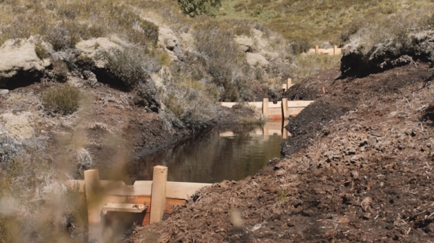 Water beginning to pool behind the wooden dams ©Peatland ACTION