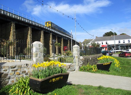 Hayle viaduct daffodils