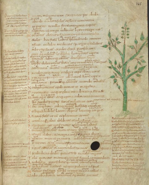 Vergil Medicine