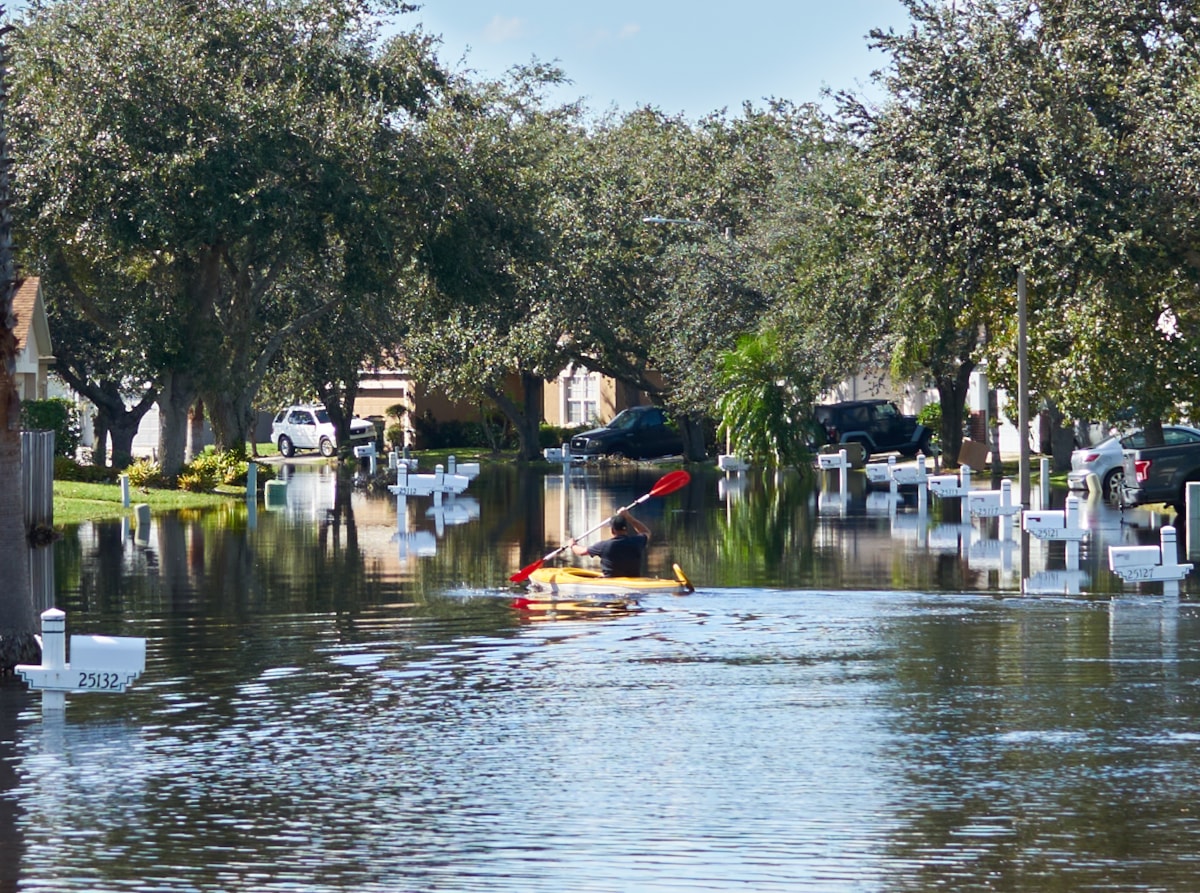 CAT - kayak in water 3 - USAA