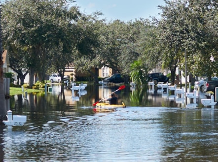 CAT - kayak in water 3 - USAA