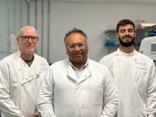 Rameen and BIG Unit Team