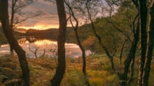 110206-sunset-over-loch-trool cropped: 110206-sunset-over-loch-trool cropped