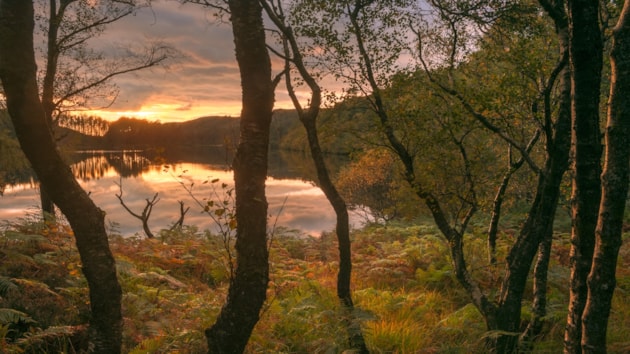 Tha NàdarAlba a’ cur air bhog co-chomhairleachadh air beachd Pàirc Nàiseanta ùr na h-Alba ann an Gall-Ghàidhealaibh: 110206-sunset-over-loch-trool cropped