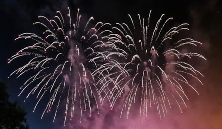 Himley Fireworks-2