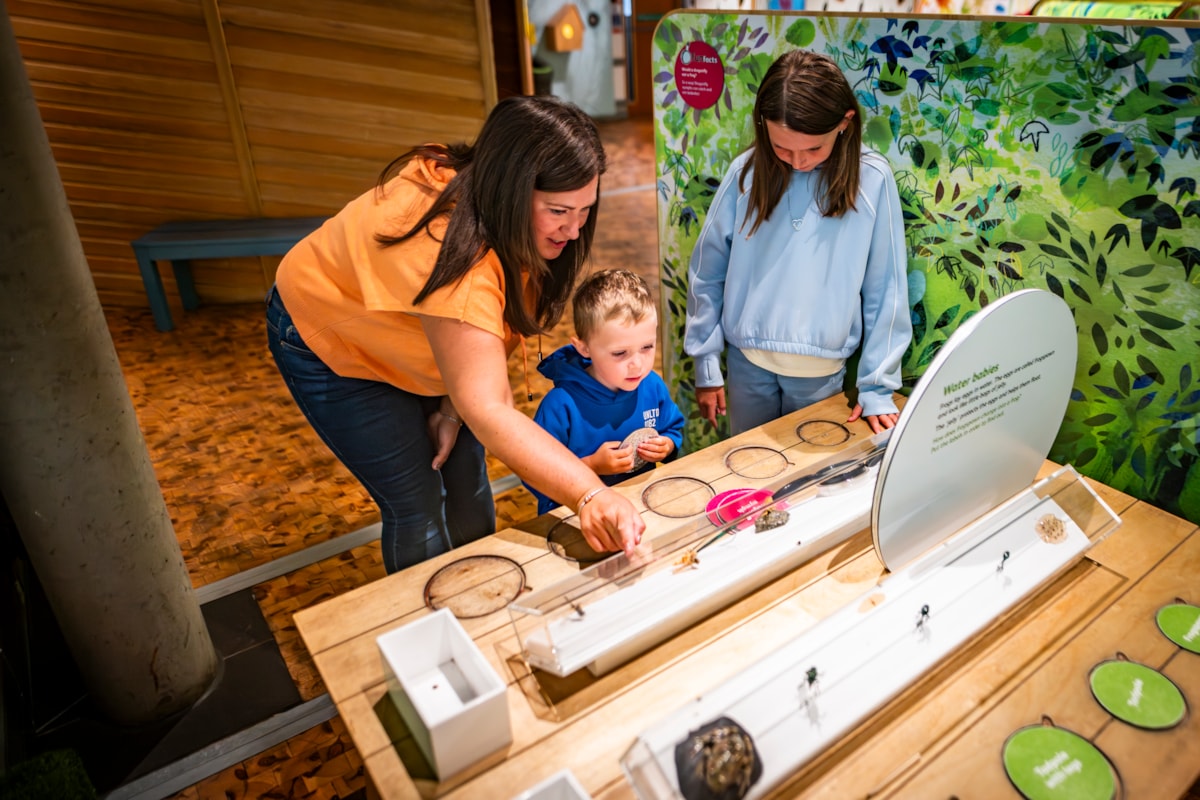 October Half Term at the National Museum of Rural Life. Image credit © Andy Catlin
