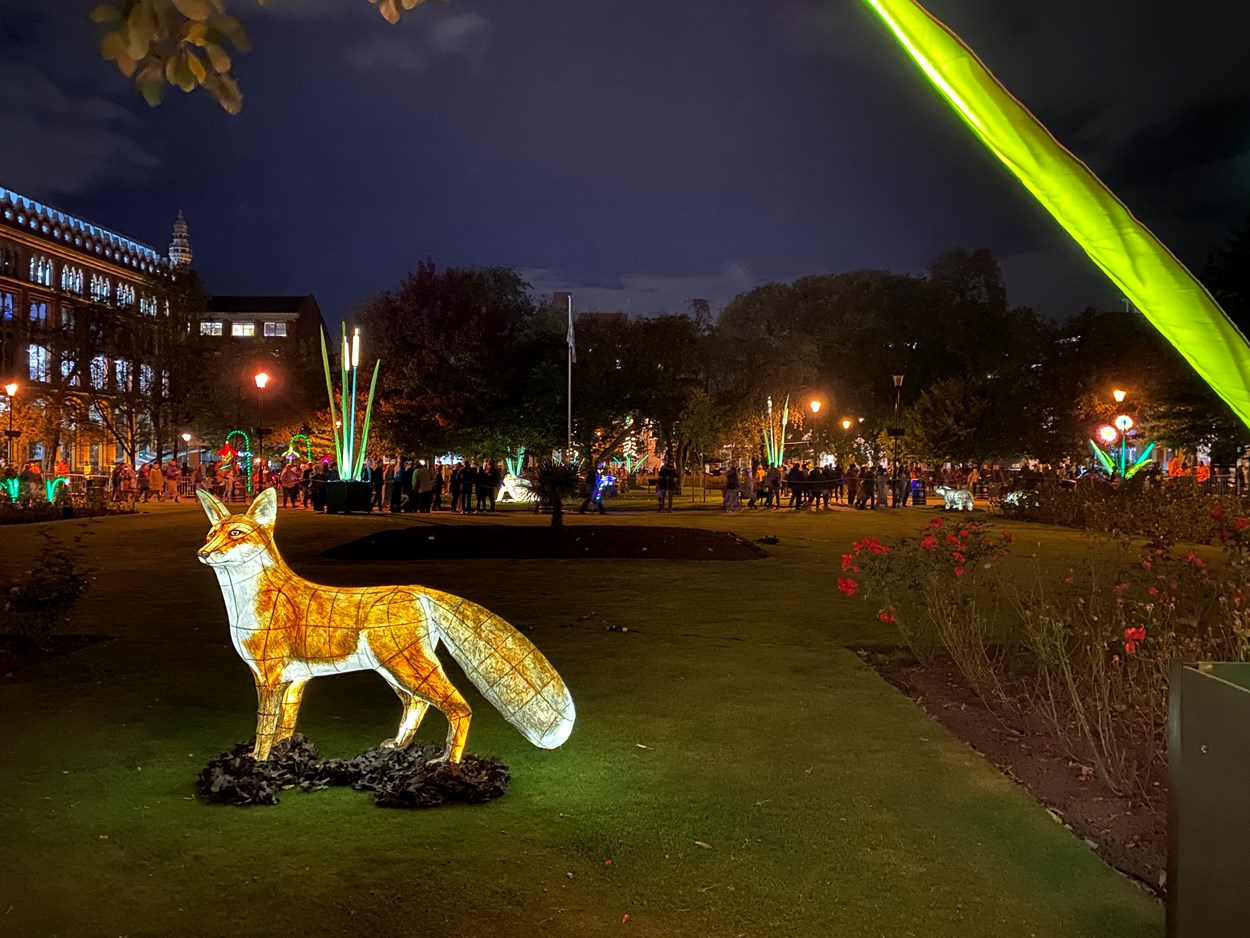 Light Night Leeds 2021: Nature at Night on park Square, one of the stunning installations at Light Night Leeds 2021.