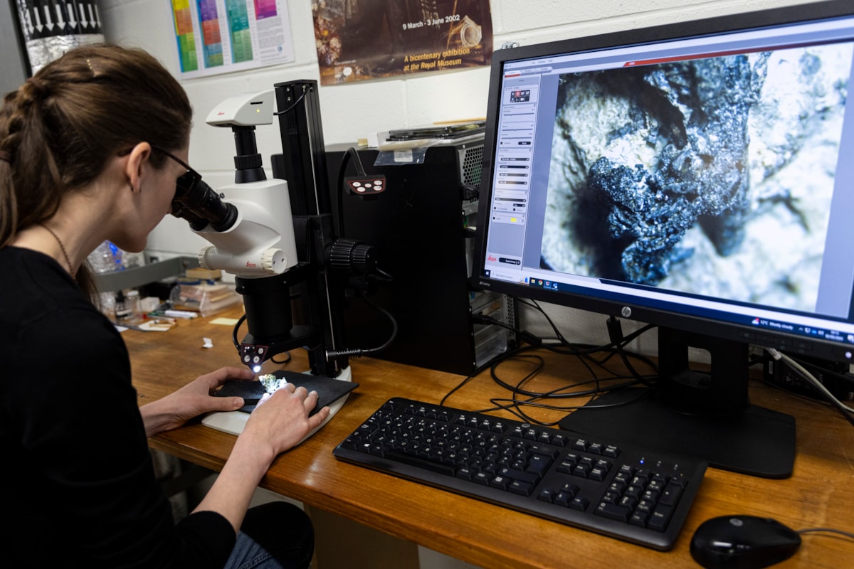 National Museums Scotland's Dr Elsa Panciroli examines two krusatodon kirtlingtonensis fossils. Photo (c) Duncan Mc Glynn (2)