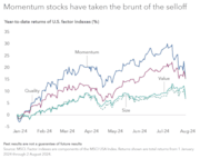 Capital Group - Momentum stocks have taken the brunt of the selloff: Capital Group - Momentum stocks have taken the brunt of the selloff