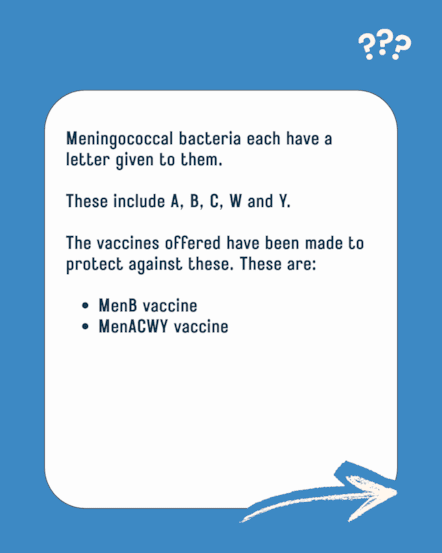 Asset 3 - Carousel 2