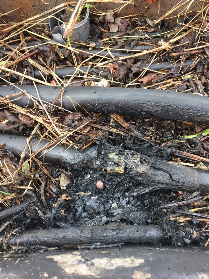 Vandalised cables which caused disruption at Birmingham New Street station 2