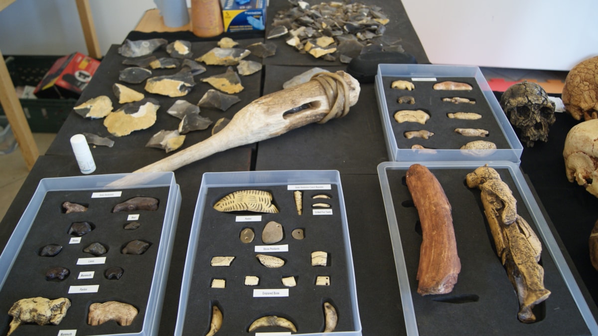 Clitheroe Castle Museum Festival of Archaeology (6)