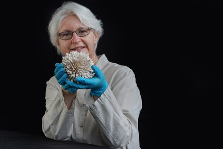 Friederike Voigt, Principal Curator National Museums Scotland, with Junko Mori's New Pinecone Silver Organism, 2007. Photo © Stewart Attwood (2)
