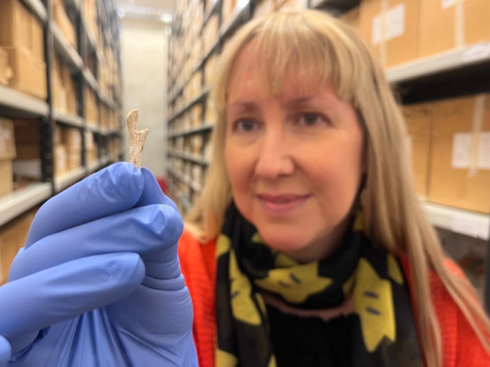 Pitty Close Farm finds: Kat Baxter, Leeds Museums and Galleries’ curator of archaeology, with part of a pin which was carefully carved from a piece of animal bone, one of the Bronze Age finds made at Pitty Close Farm.