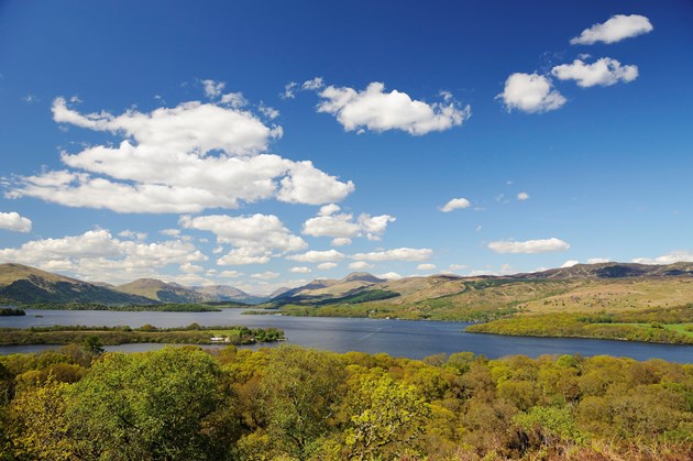 Inchcailloch NNR, Loch Lomond. ©Lorne Gill/SNH: Inchcailloch NNR, Loch Lomond. ©Lorne Gill/SNH