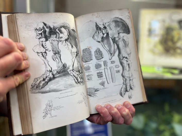 Antique book return: One of pair of antique library books written by a renowned 19th century geologist which have finally been returned 50 years late.
Volumes I and II of the esteemed Rev. William Buckland’s Geology and Mineralogy, written almost 200 years ago, were due back at Leeds Central Library in March 1976, but were instead discovered by staff in a charity shop in Beverley, East Yorkshire.