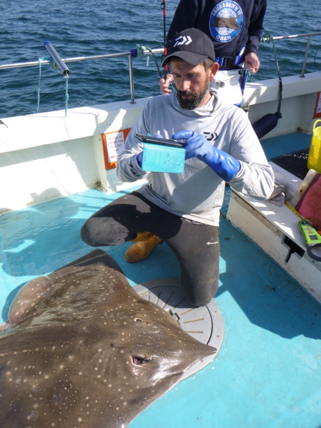 Skipper Leigh Taylor taking a photo of a flapper skate for the new SkateSpotter - credit NatureScot