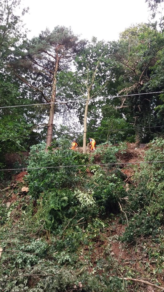 Cross City line south to remain closed while trees and embankment are made safe: Cross City line embankment and trees
