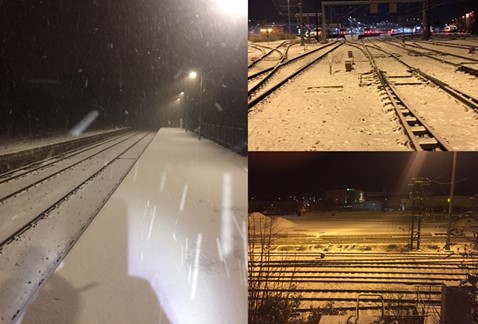 Snow in Norfolk Feb26-27