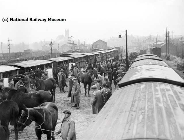 Horses being loaded onto a train at Ormskirk, Lancashire, 11 December 1914