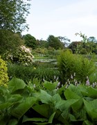 HES - Glenwhan Gardens, low view across Lily Pond from south: HES - Glenwhan Gardens, low view across Lily Pond from south