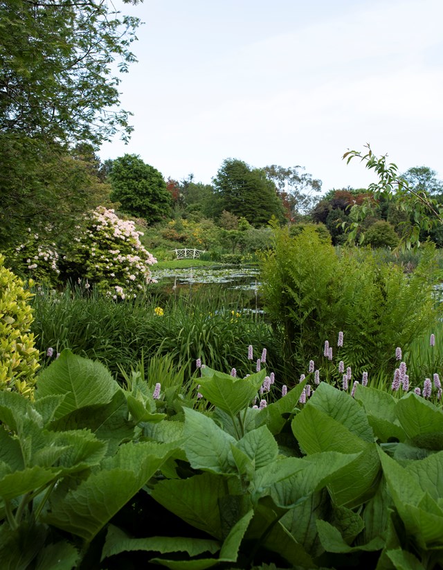 HES - Glenwhan Gardens, low view across Lily Pond from south