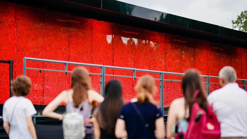 USAA Poppy Wall of Honor-2