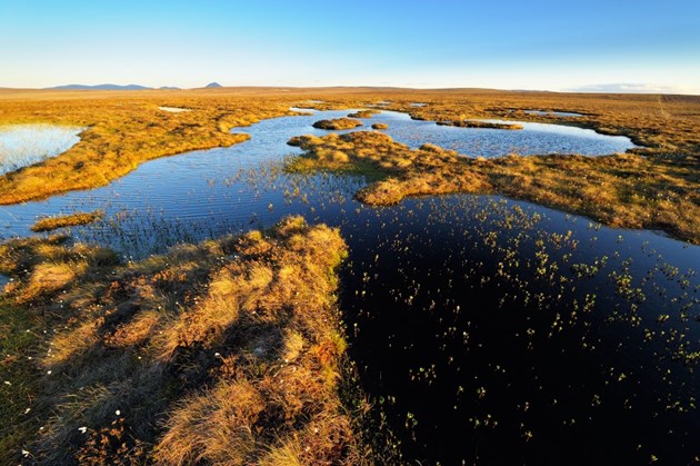 Funding available now to restore Scotland’s peatlands: The Flow Country