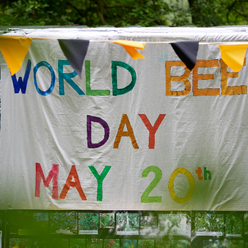 World Bee Day