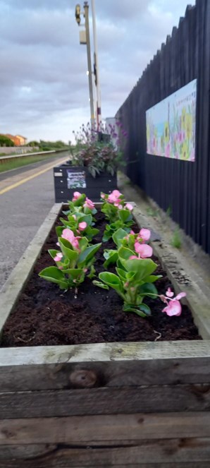 Image shows flower beds (2) at Squires Gate station