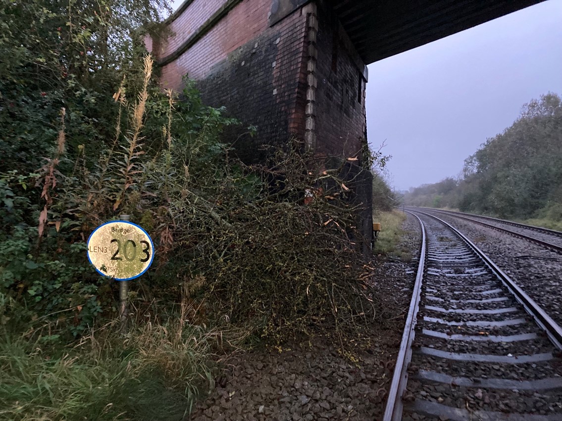 Tree on line at Hartlepool, Network Rail