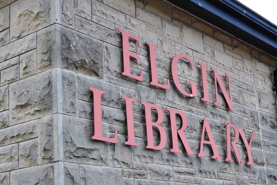 Two popular authors heading for Elgin library