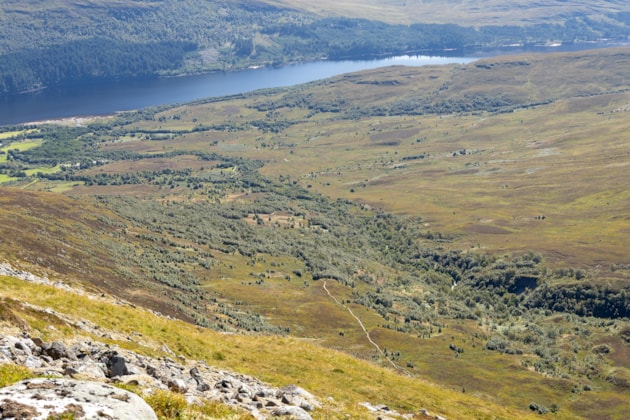 2 Creag Meagaidh (2023) ©NatureScot