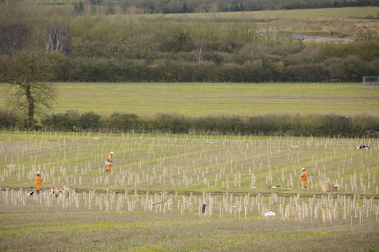 Tree planting at Finemere Wood March 2020: Credit: John Zammit, Absolute Photography Ltd

Tree planting at Finemere Wood, near Calvert, Buckinghamshire, using biodegradable tree guards, part of 75,000 trees set to be planted in the county during 2020 by Area Central enabling works contractor Fusion

Internal Asset No. 15048