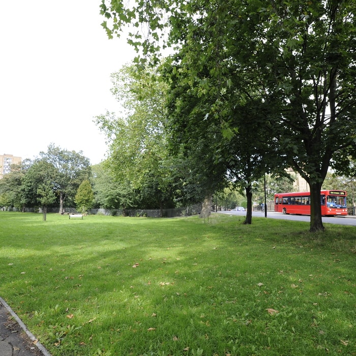 hackney_8045720.jpg