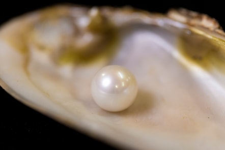 The Abernethy Pearl. Image copyright Duncan McGlynn (2)-2