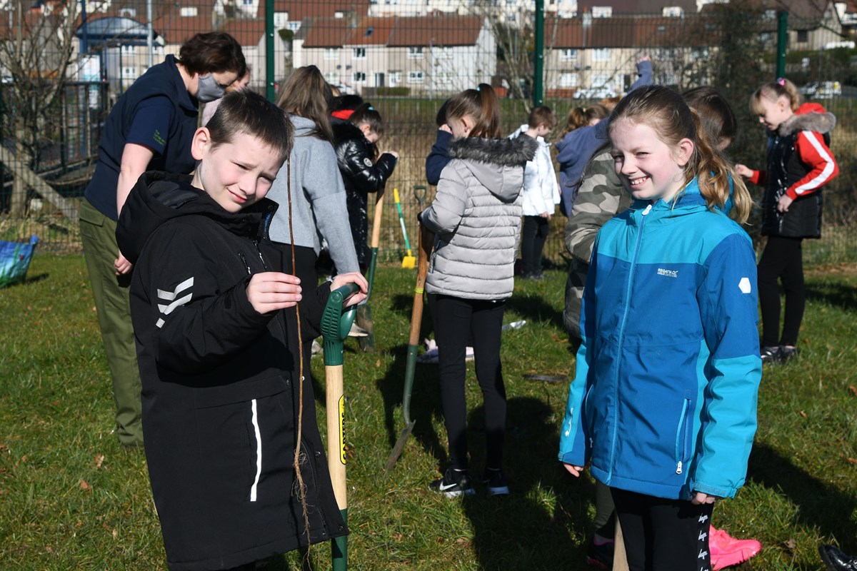 Drongan tree planting