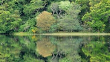 Loch Coille-Bharr, Knapdale. Lorne Gill/NatureScot: Loch Coille-Bharr, Knapdale. Lorne Gill/NatureScot