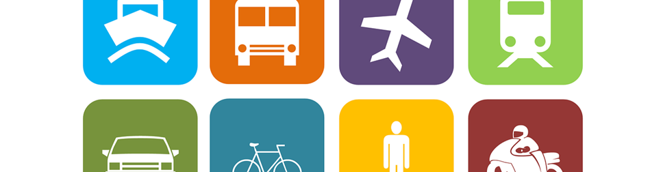 Forest-Transport-Study Focus