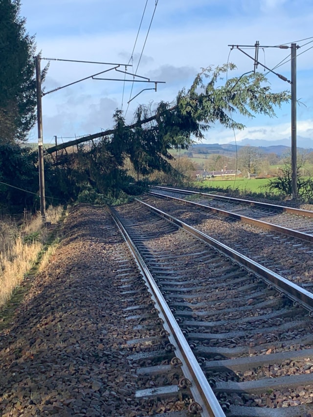 Storm Éowyn: Red weather warning will mean line closures on rail routes across Scotland: Beattock - Tree on overhead wires