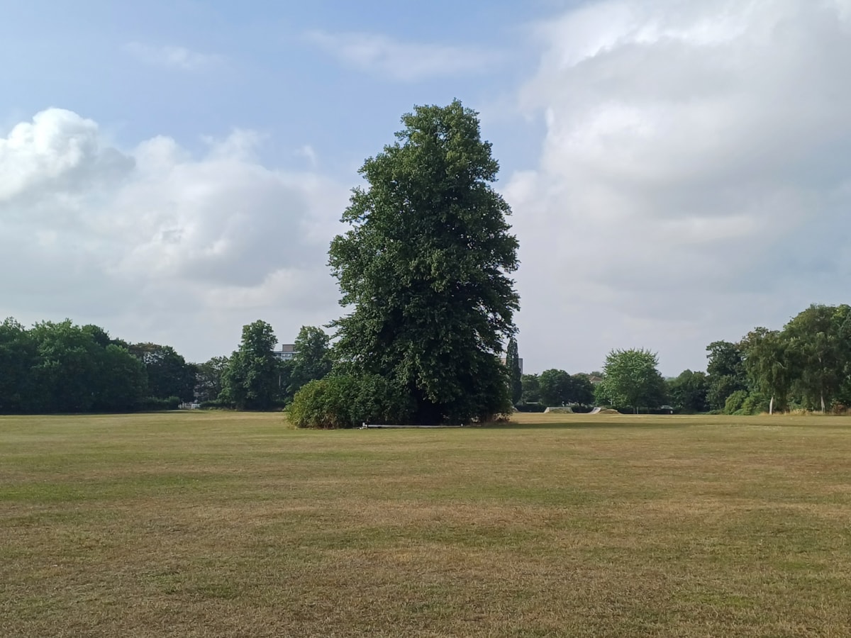 Prospect Park-8