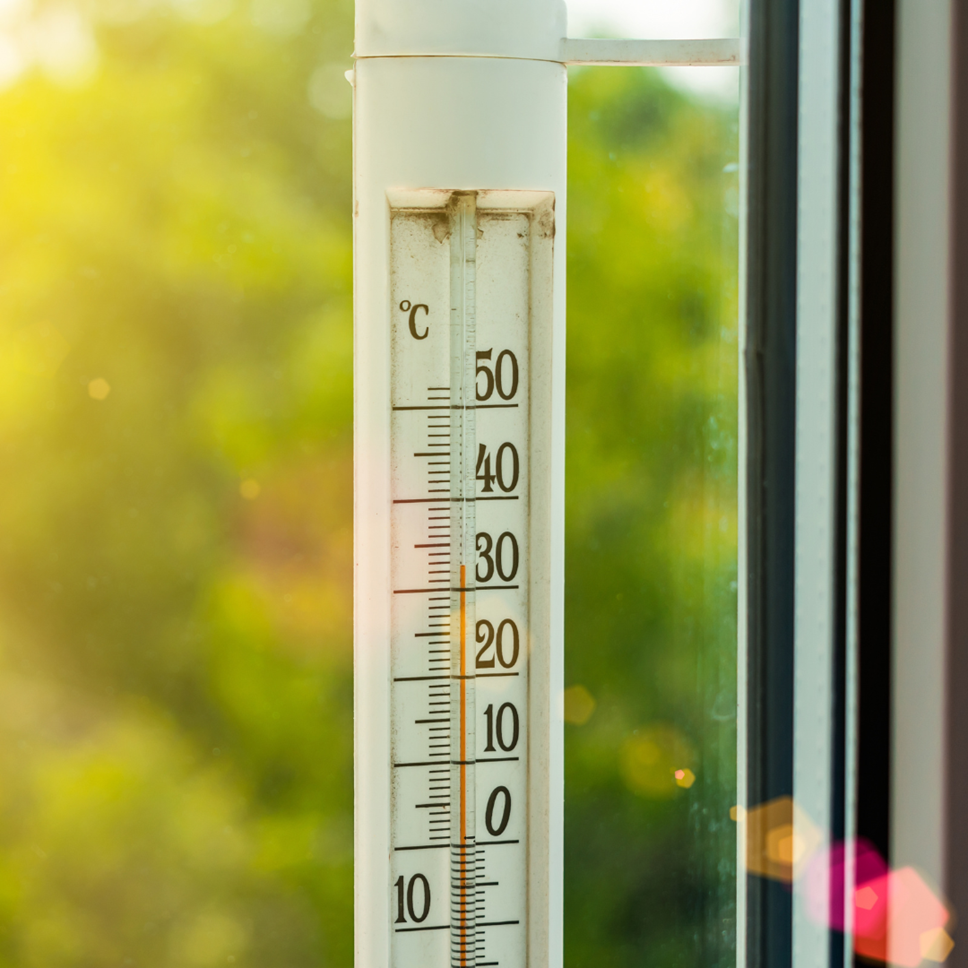 thermometer on a window