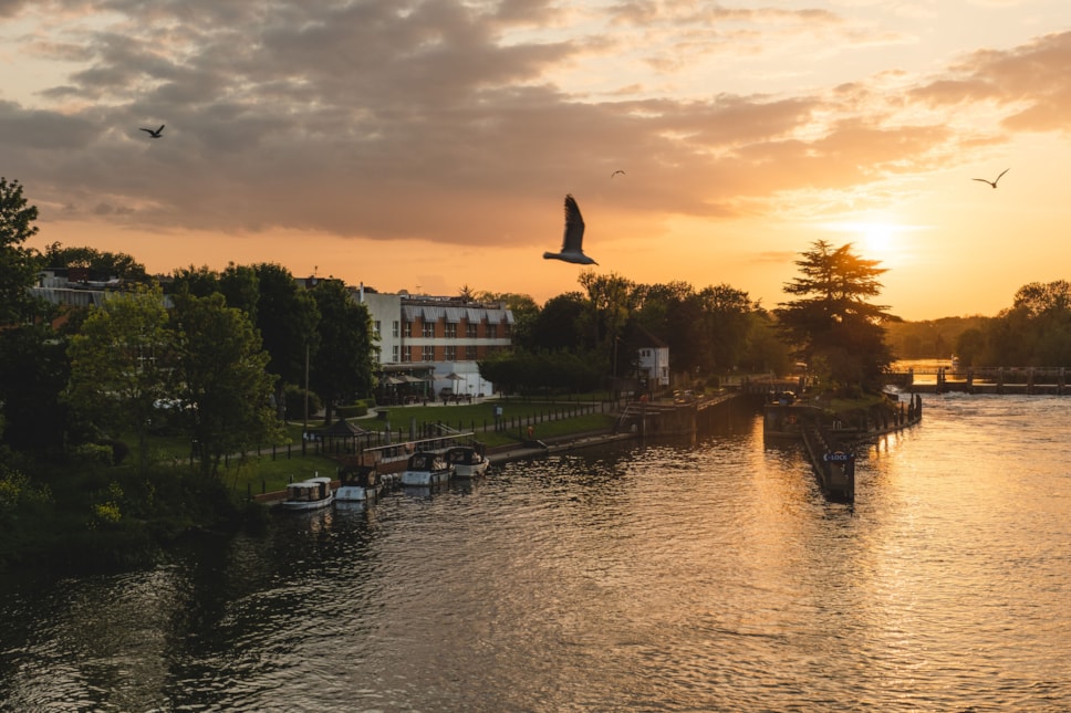 The Runnymede on Thames-42