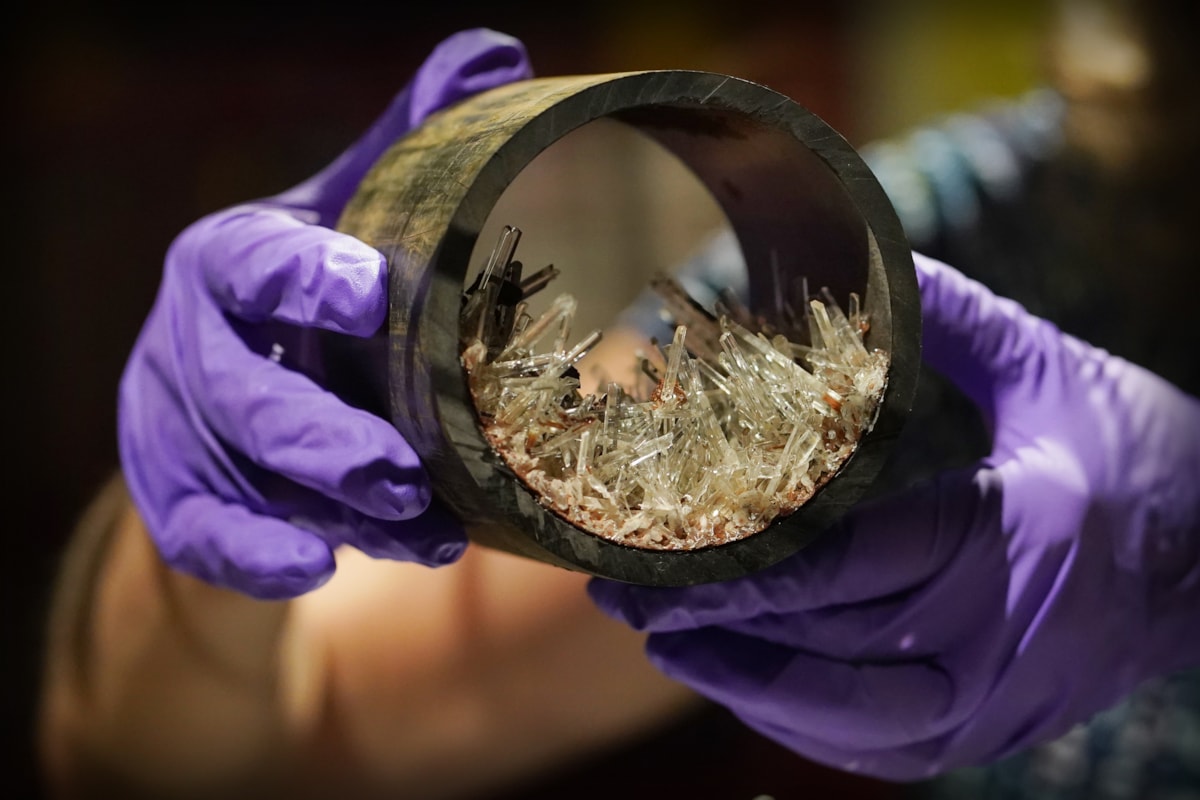 Dr Rachel Walcott, Principal Curator of Earth Systems, with a plastic pipe containing gypsum crystals, image copyright Stewart Attwood
